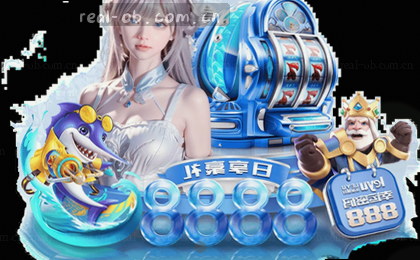赛程总览：完整赛事时间表